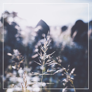 亚洲69xx女人热裸黄片段子
